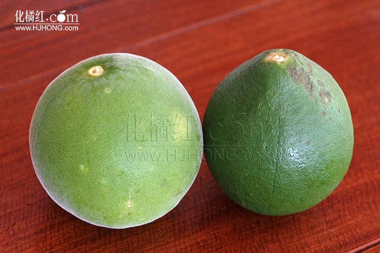 ��ٻ��ٺ������